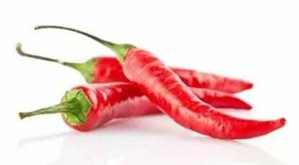 Chili-Schoten frisch 20 g (IT)