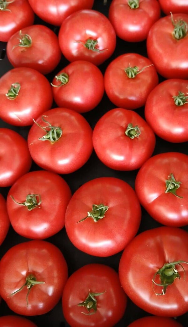 Fleischtomaten ca. 1kg