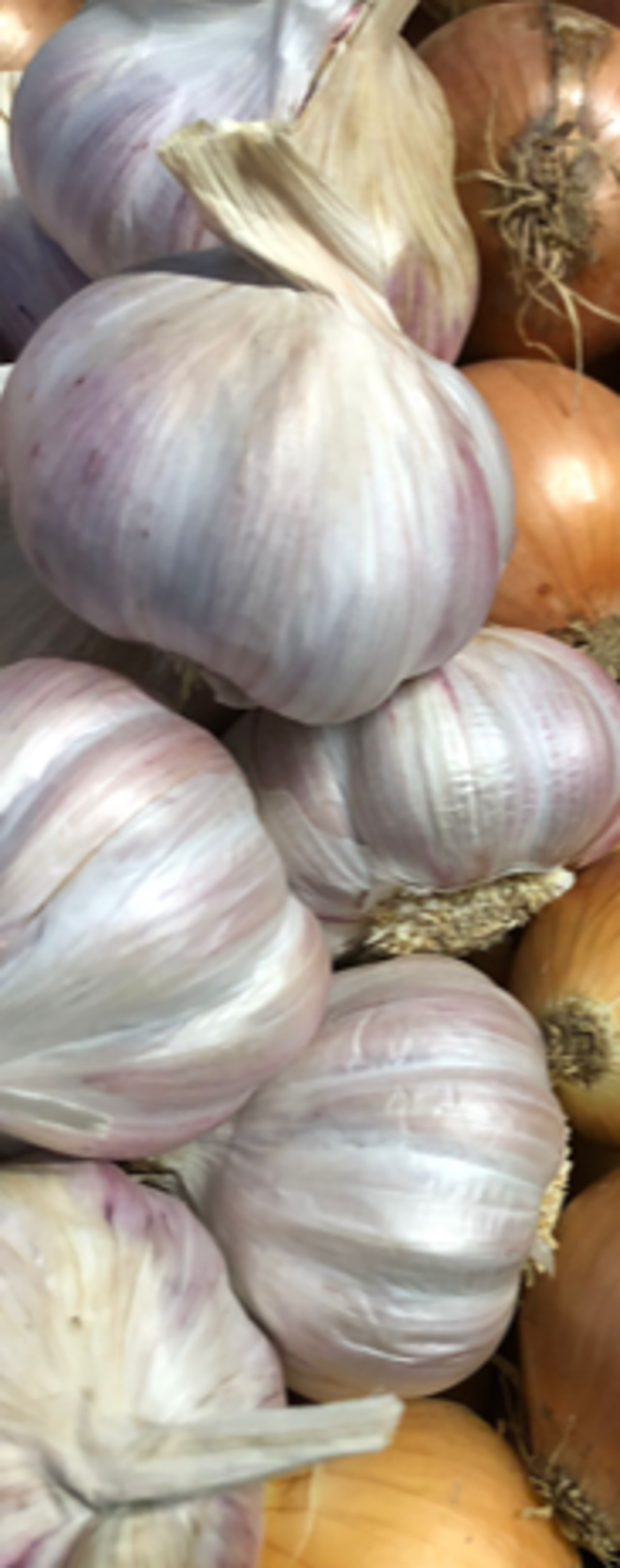 Knoblauch 1 Stk. (CH)