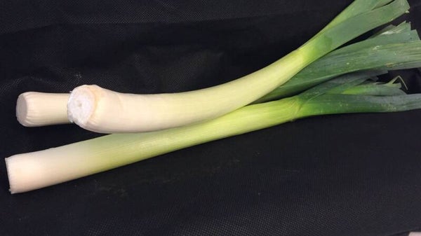 Lauch ca. 600g