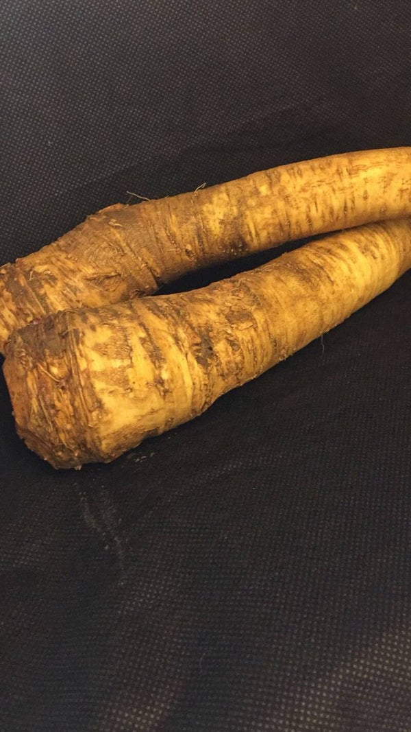 Meerrettich Wurzel ca. 200g (IT)