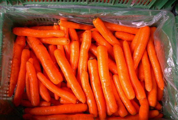Rüebli ca. 1kg