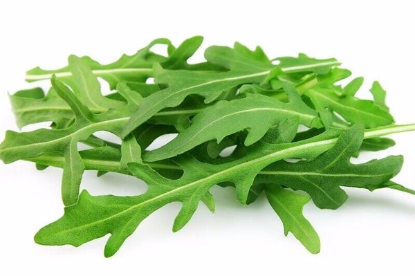 Rucola Bund (CH)