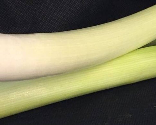 Stangenlauch ca. 600g