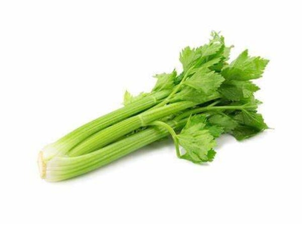 Stangensellerie ca. 500 g
