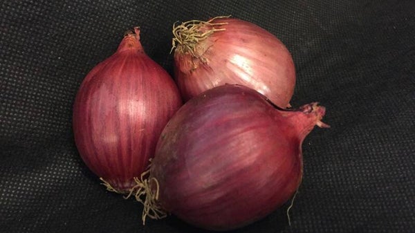 Zwiebeln rot ca. 500g
