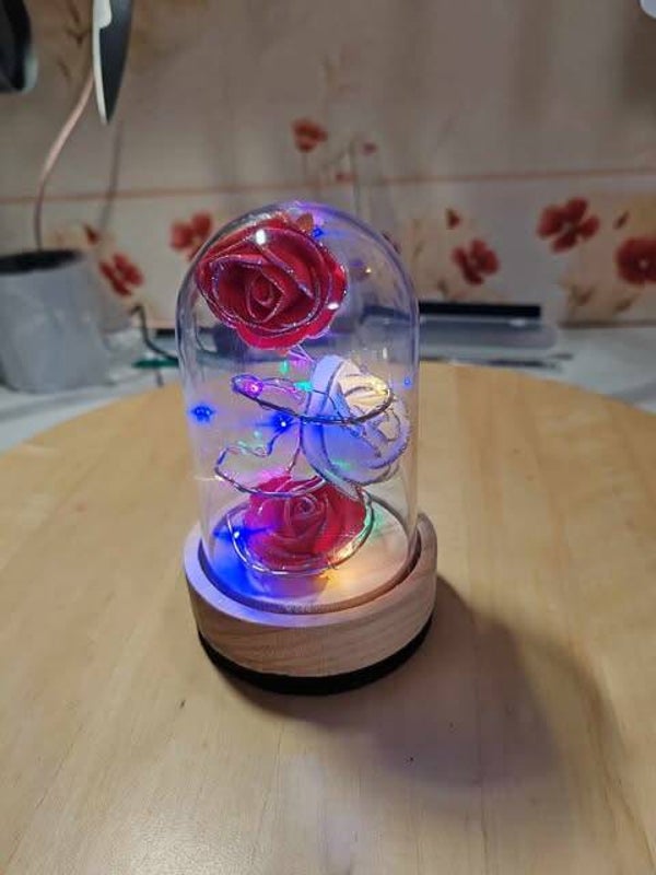 Rose sous cloche petite