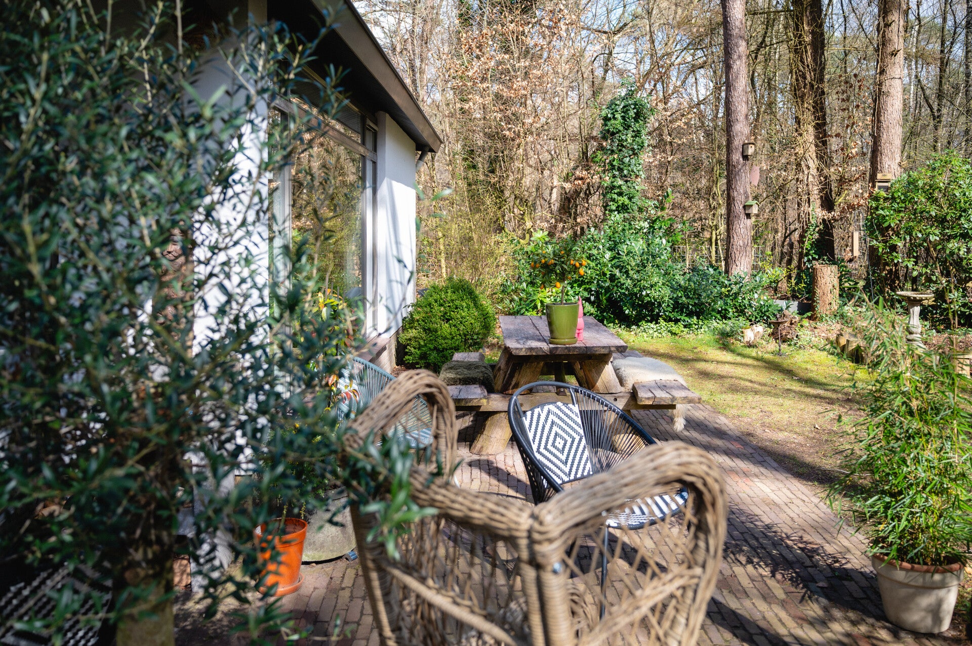 brocante-standard.jpg
