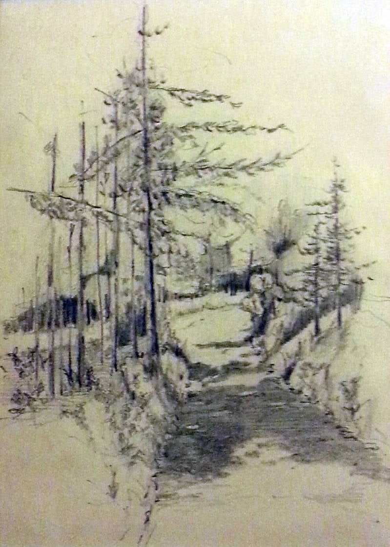 Lichtaart