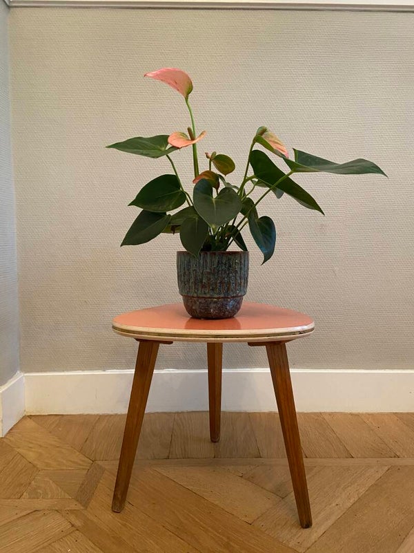 Vintage planten-/bijzettafel met  oudroze blad