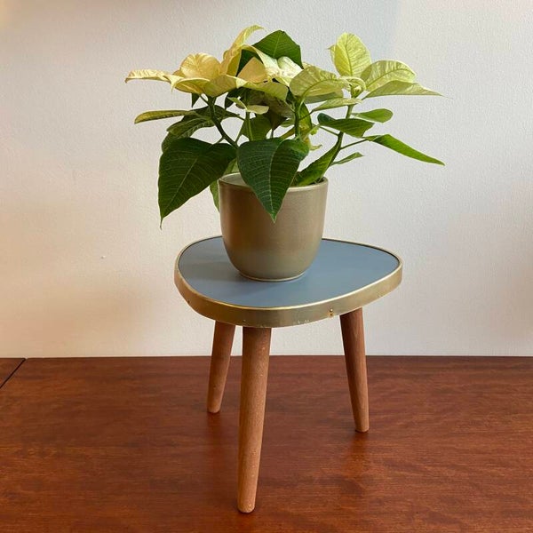 Retro plantentafeltje met lichtblauw blad