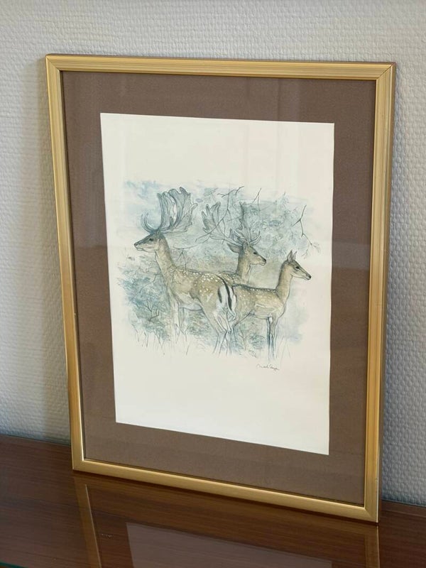 Deense ingelijste aquarel prent van Mads Stage, groep herten