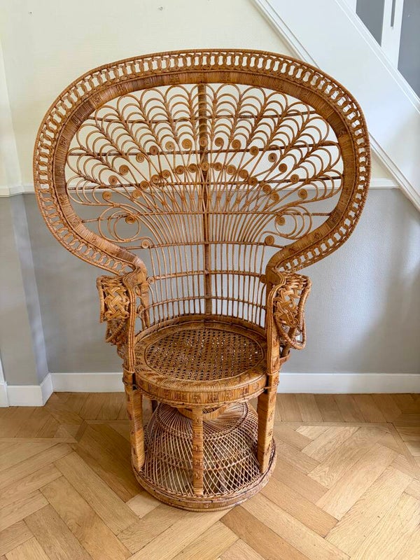 Rotan Pauwentroon jaren '70