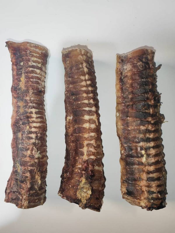 Beef trachea 24cm