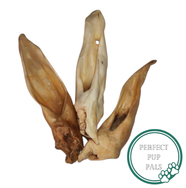 Goat Ear