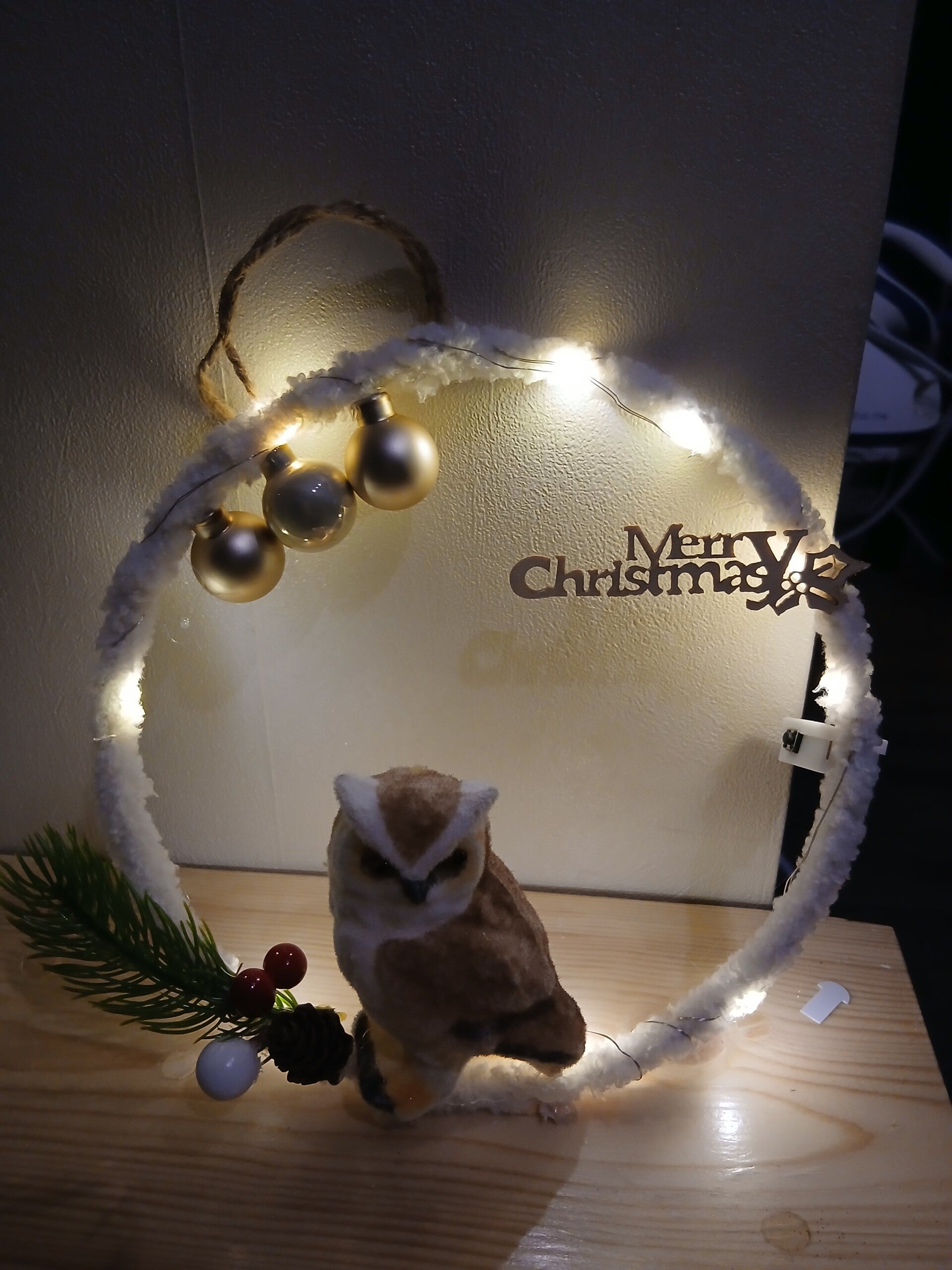 Déco  hiboux de noël