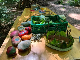 Besuchstag Waldspielgruppe Zwärgli Waldkinder Walderlebnis Fürberg Gipf-Oberfrick