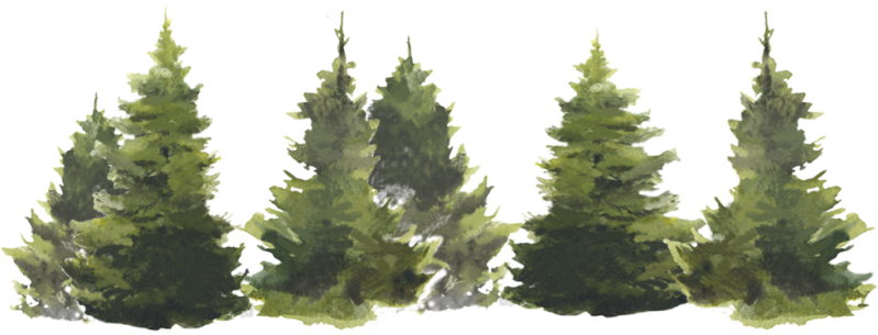 Waldspielgruppe Zwärgli Gipf-Oberfrick Walderlebnis Fürberg