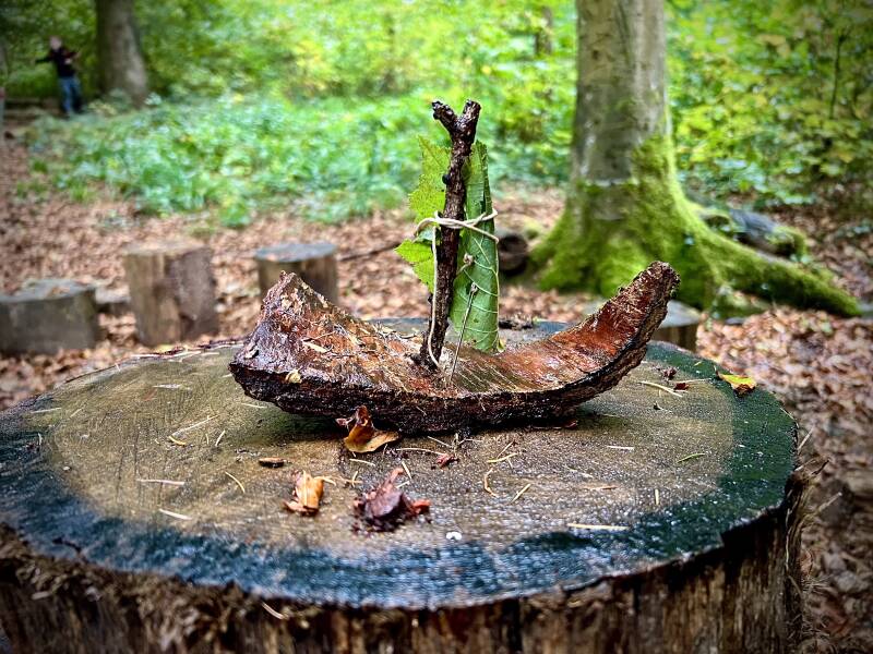Waldkinder Walderlebnis Fürberg Gipf-Oberfrick