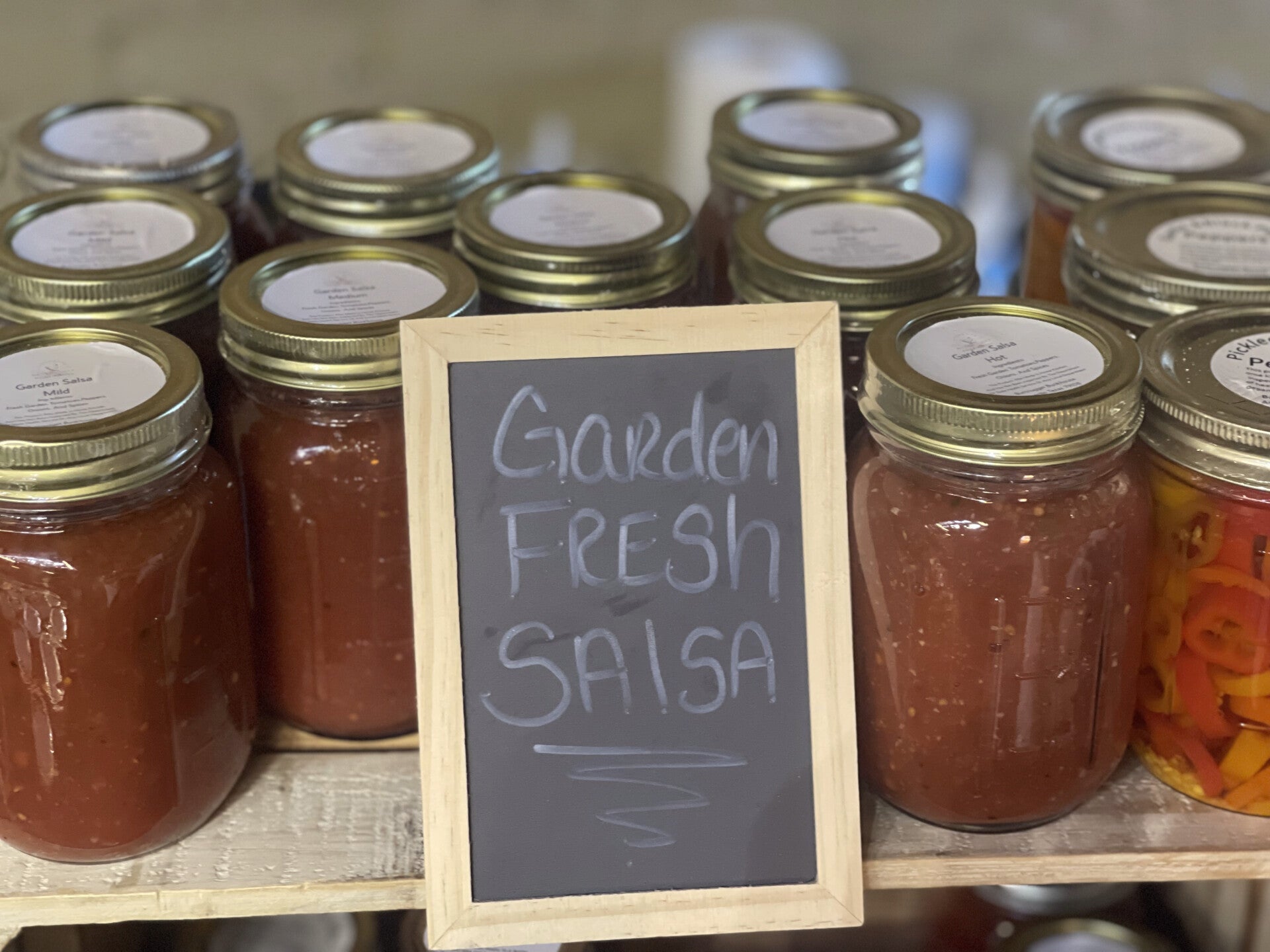 Garden Fresh Salsa