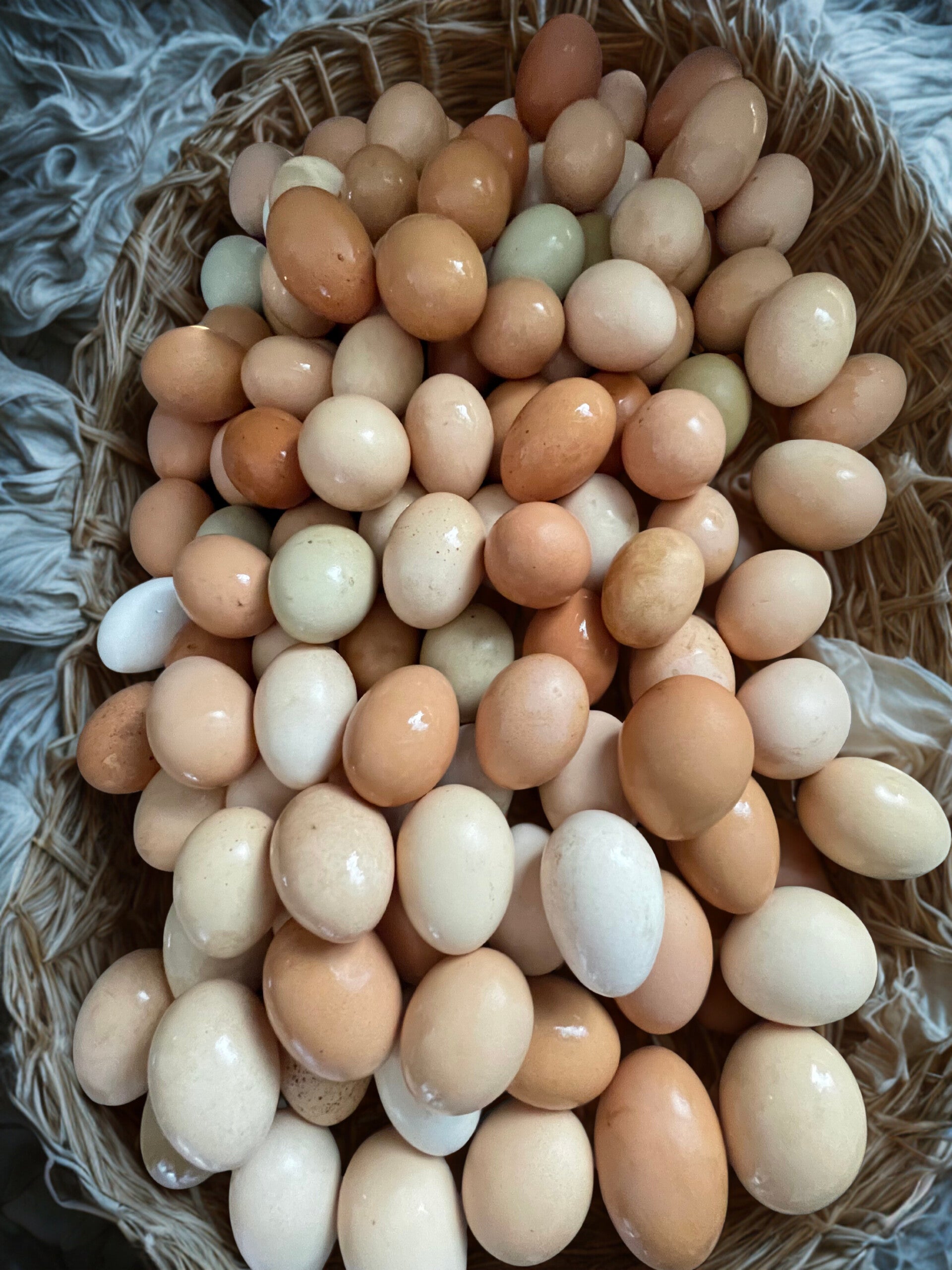 Farm Fresh Chicken Eggs
