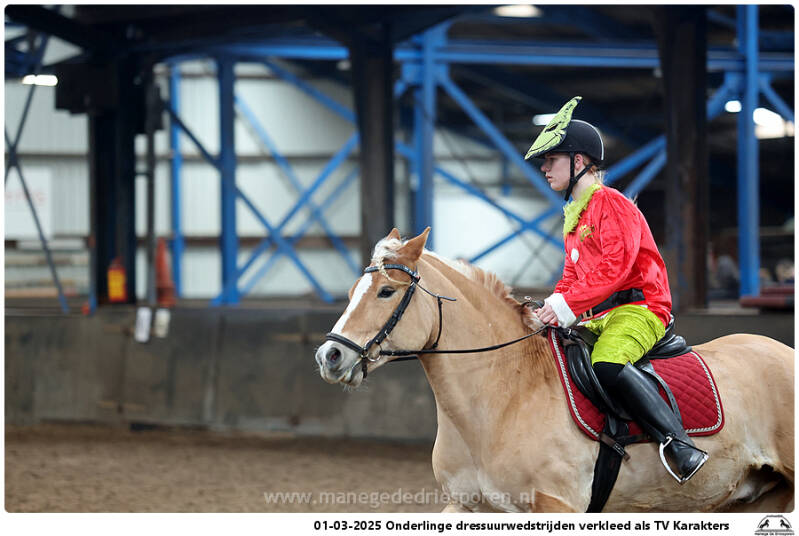 01-03-2025-onderlinge-dressuurwedstrijden-verkleed-als-tv-karakters-350-standard.jpg