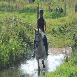 064-standard.jpg