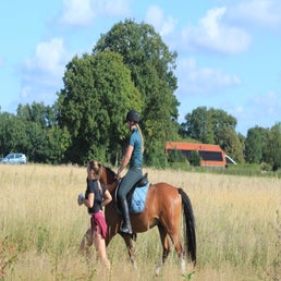 071-standard.jpg