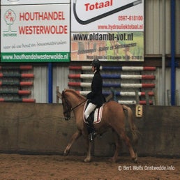 138-standard-pusf49.jpg