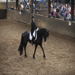 7q9a0168-standard.jpg