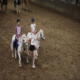 7q9a0420-standard.jpg