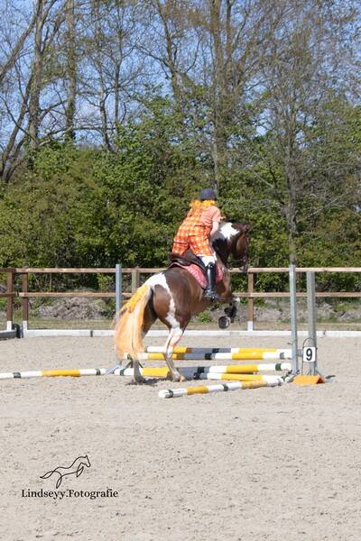 ldl_20260426_onstwedde_yvonne-1-standard.jpg