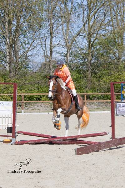 ldl_20260426_onstwedde_yvonne-2-standard.jpg