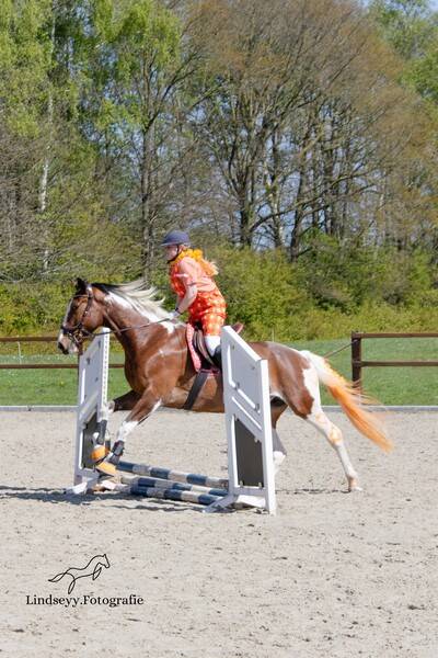 ldl_20260426_onstwedde_yvonne-3-standard.jpg