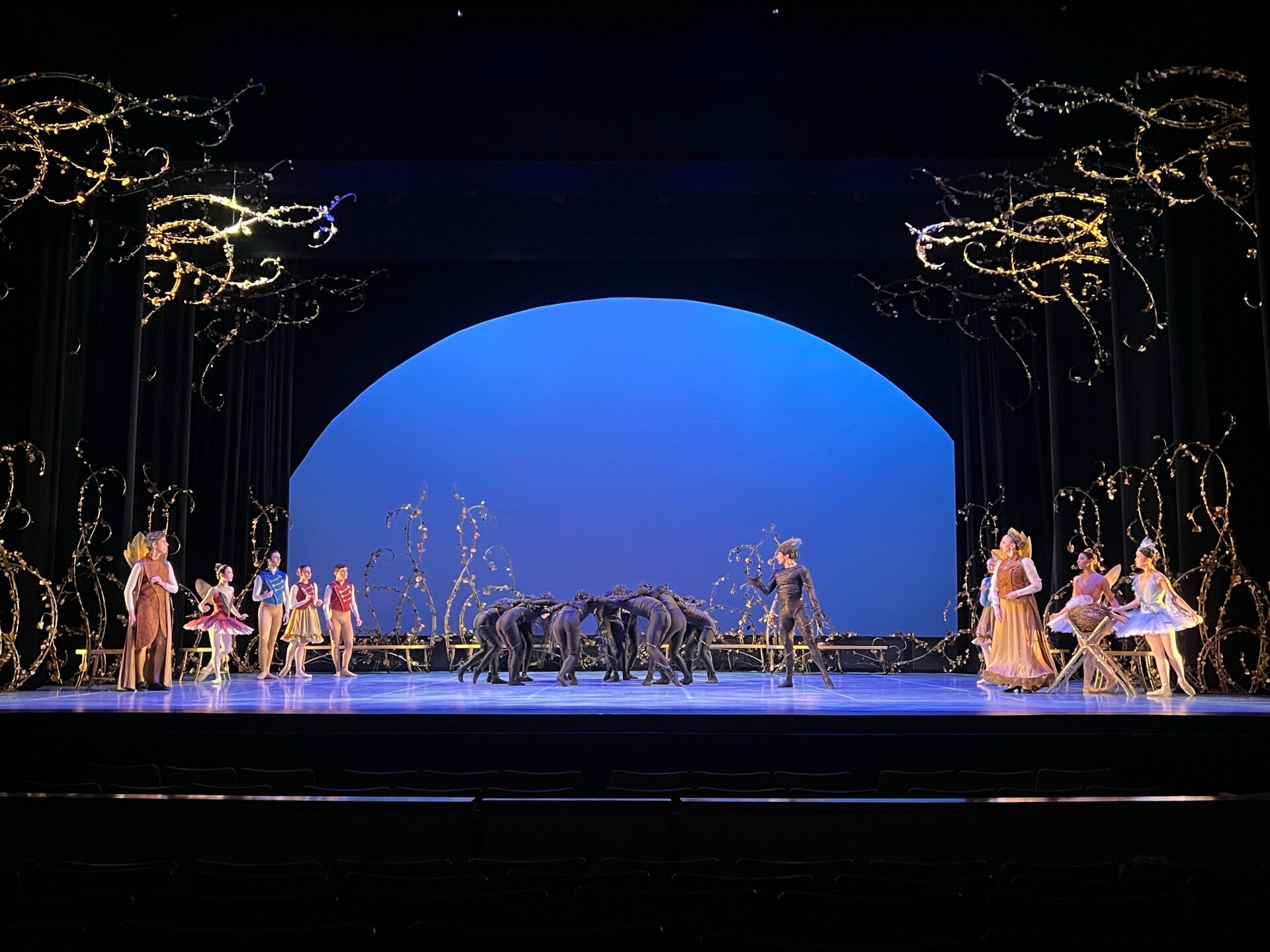 Maintance, Sleeping Beauty The Ballet for Ballet Jorgen 2024