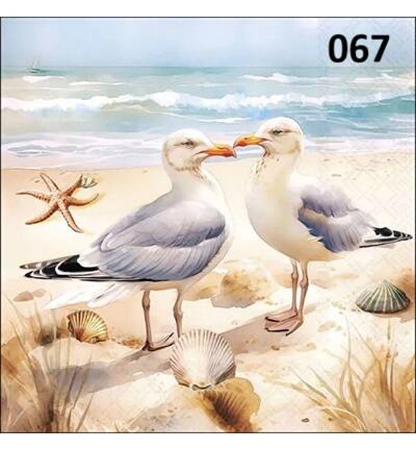 Servetten Seagulls