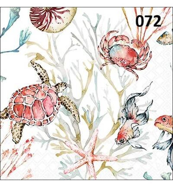 Servetten Sea animals
