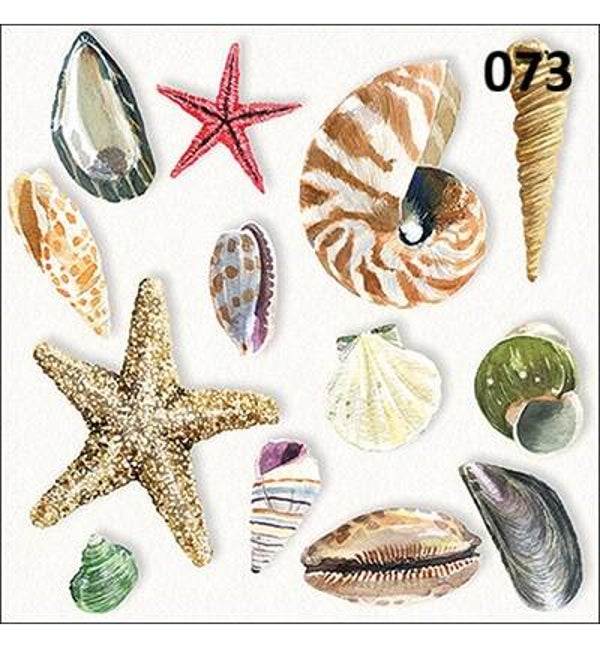 Servetten Shells