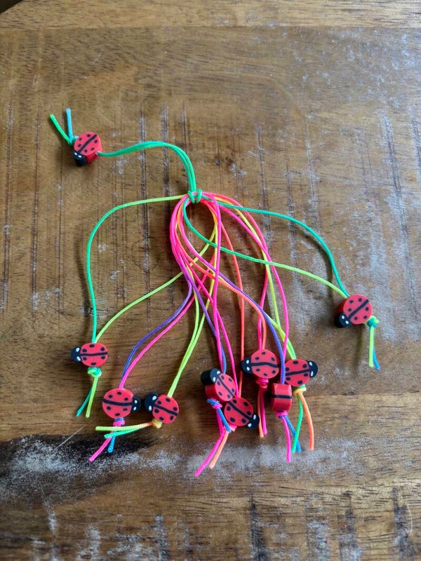 Halsbandhanger Lieveheersbeestje
