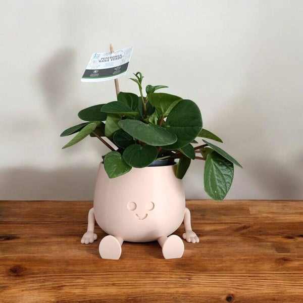 Bloempot Blij Mini