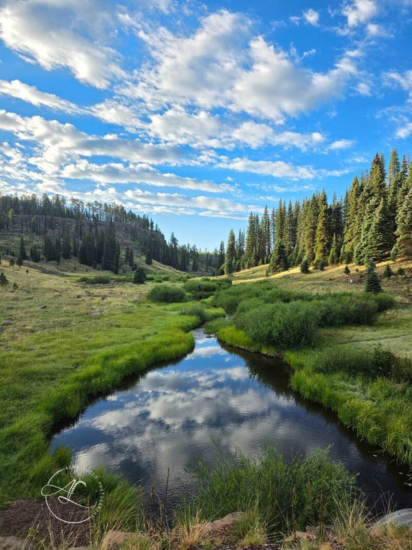 Arizona White Mountains Print