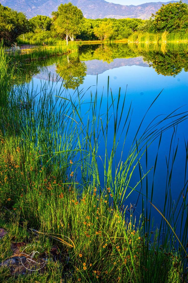 Dead Horse lake Print