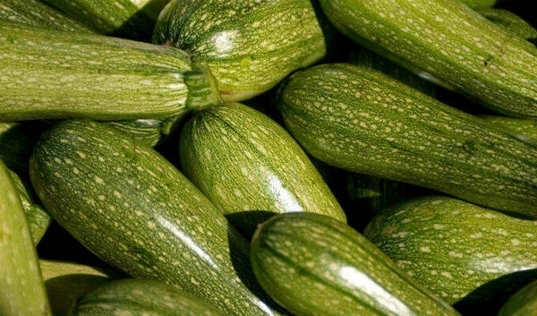 CALABACITA