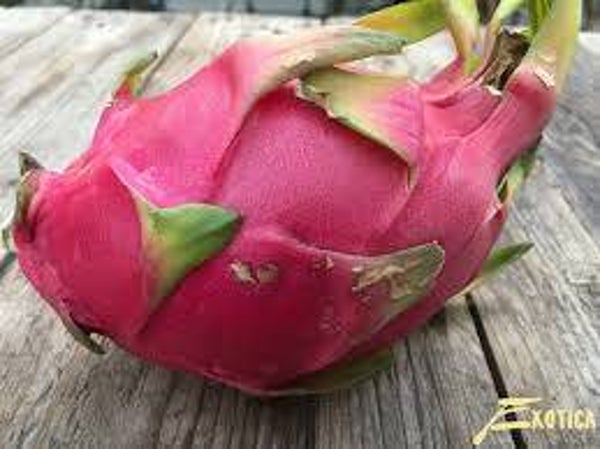 DRAGON FRUIT
