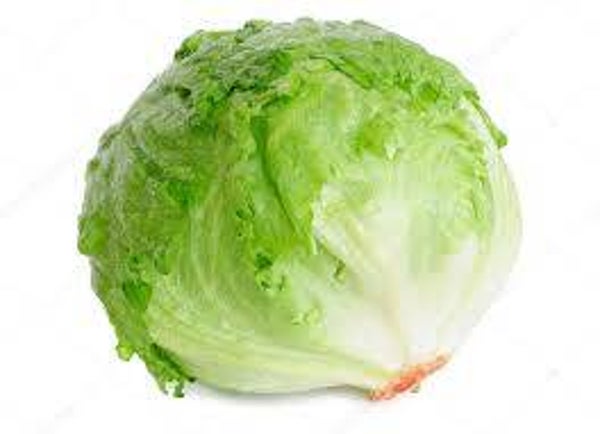 LECHUGA ICEBERG DE PRIMERA