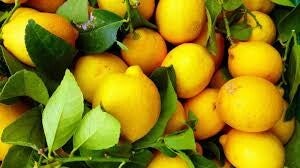 limon amarillo