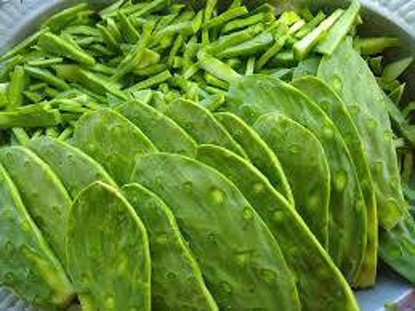 NOPALITOS PELADOS Y PICADOS