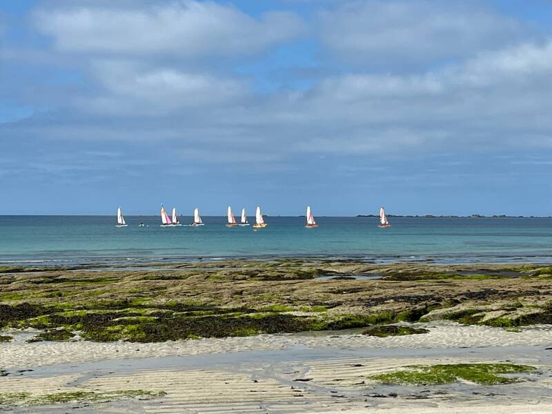 img_7819-standard-0e249f.jpg