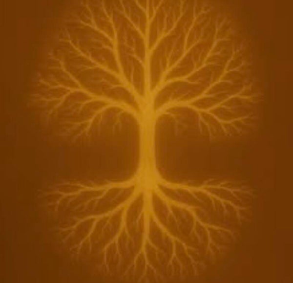 Ahnen-Reading (per Mail) – Heile deine Wurzeln, stärke deine Kraft