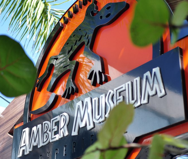 🏛️🌿 City Tour + Amber Museum Experience